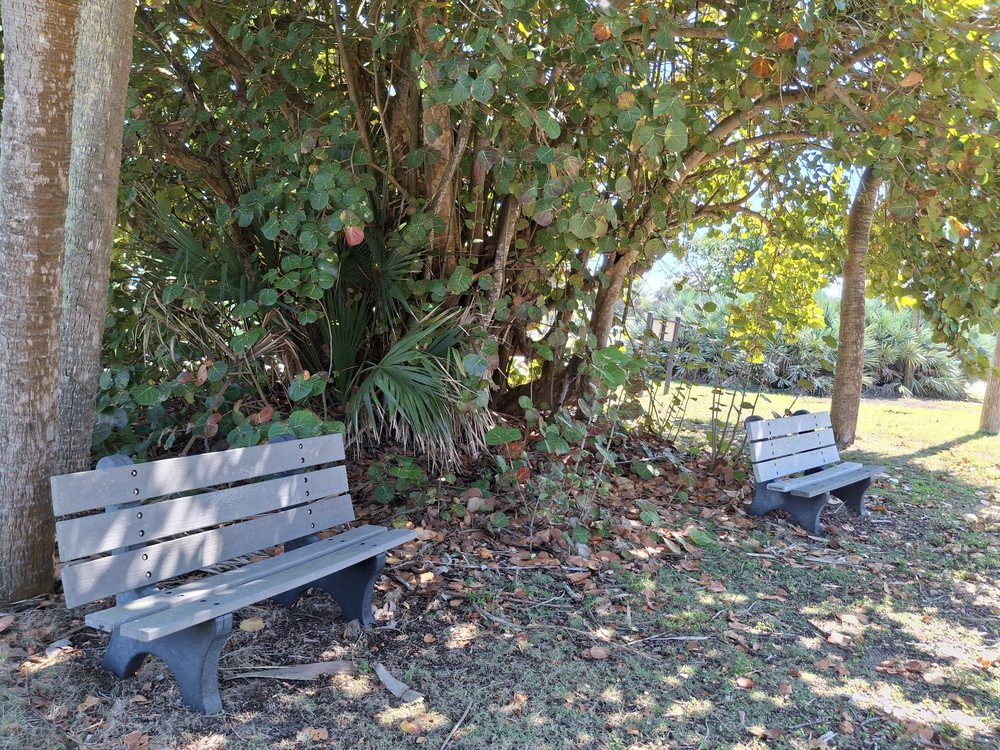 Gus Carey Park Logo