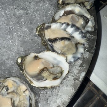 Kayne Prime - Cold Water Oysters - Kumamoto - Steakhouses Near Me - Nashville, Tennessee Kayne Prime - Cold Water Oysters - Kumamoto - Steakhouses Near Me - Nashville, Tennessee