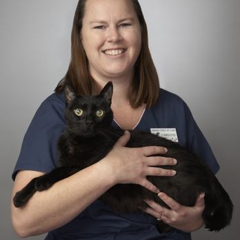 Abrams Forest Veterinary Clinic - Veterinarians Near Me - Dallas, Texas