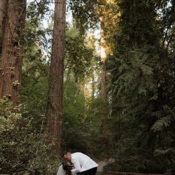 Griffith Woods - WHERE WE WANDER PHOTOS -The beautiful bridge at Griffith woods - Parks Near Me - Santa Rosa, California