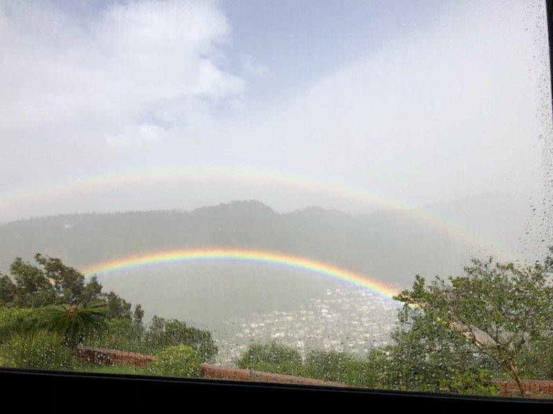 Hale Nohea - home care agency in Honolulu, HI