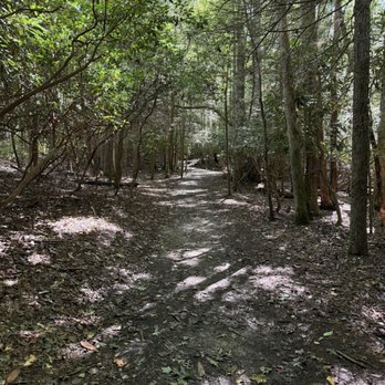 Grandview State Park - Hiking Near Me - Beaver, West Virginia