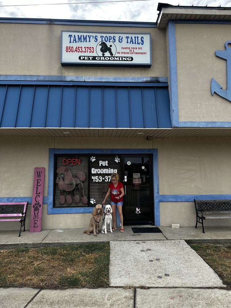 TAMMY’S TOPS & TAILS Updated September 2024 14 Reviews 205 N Navy