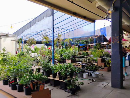 Marché Atwater by null
