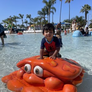 KNOTT’S SOAK CITY WATER PARK - 631 Photos & 489 Reviews - 8039 Beach