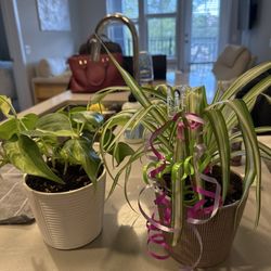 Buckman's Home and Garden