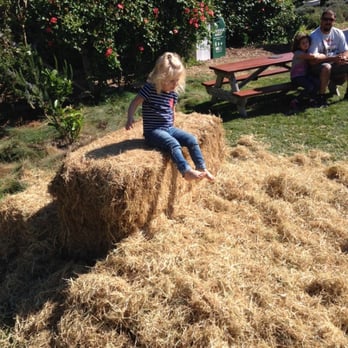 Earthbound Farm Stand - Organic Stores Near Me - Carmel, California Earthbound Farm Stand - Organic Stores Near Me - Carmel, California