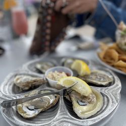 Ideal Bar & Grill - Fresh Oysters