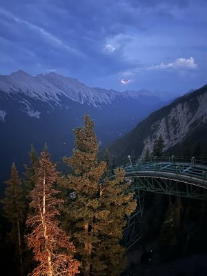 Sulphur Mountain by null