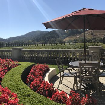 Wine Driver Napa-Sonoma Valley - Wine Country looking beautiful. It's safe and it did NOT burn down. - Wine Tours Near Me Wine Driver Napa-Sonoma Valley - Wine Country looking beautiful. It's safe and it did NOT burn down. - Wine Tours Near Me