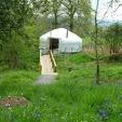 Teapot Lane Glamping