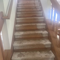 Dangerous Primate Plumbing and More