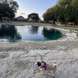 City Of Katy Dog Park - I really love this park to walk with mi baby