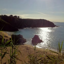 Anse des Soux - Anse des Soux, ile d'Yeu, vue du GR80.