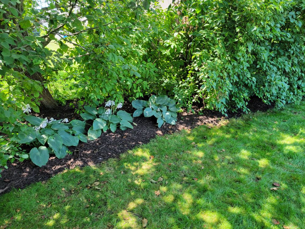 ALL SERVICES & LANDSCAPING 35 Photos De Pere, Wisconsin Lawn