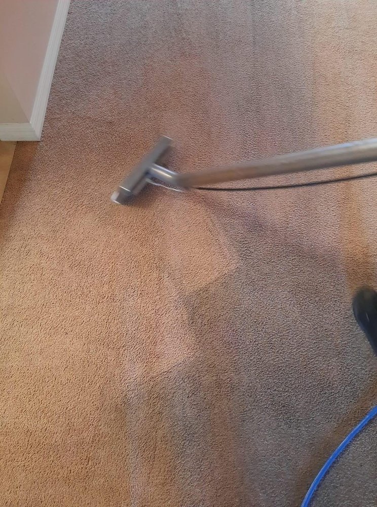 AQUA STEAMERS Request a Quote 18 Photos Haines City, Florida