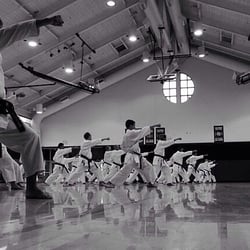 Satsuma Dojo