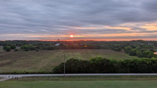 Celery Fields by null