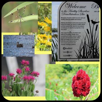 Science North Camps - Healthy Shoreline Demonstration Sight - Venues & Event Spaces Near Me - Sudbury, Ontario Science North Camps - Healthy Shoreline Demonstration Sight - Venues & Event Spaces Near Me - Sudbury, Ontario