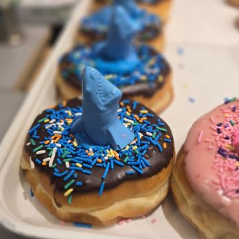 Okaloosa Donuts - Shark donut - Donuts Near Me - Fort Walton Beach, Florida Okaloosa Donuts - Shark donut - Donuts Near Me - Fort Walton Beach, Florida
