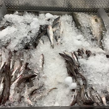 Darigo's Fish Market - Medium and large Whiting - Seafood Markets Near Me - Philadelphia, Pennsylvania Darigo's Fish Market - Medium and large Whiting - Seafood Markets Near Me - Philadelphia, Pennsylvania