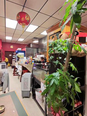 Asian Cuisine Express by null