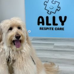 Ally Respite Care - Ally Mascot