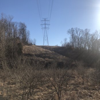 Wild Hyacinth trail - Hiking Near Me - Louisville, Kentucky Wild Hyacinth trail - Hiking Near Me - Louisville, Kentucky