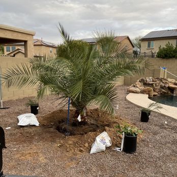 Moon Valley Nurseries - Nurseries & Gardening Near Me - Surprise, Arizona Moon Valley Nurseries - Nurseries & Gardening Near Me - Surprise, Arizona