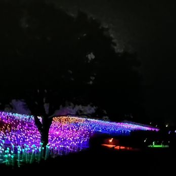 Sensorio - Field of lights - Art Galleries Near Me - Paso Robles, California