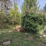 Photo of Oregon Coast Tree Company