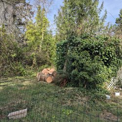 Oregon Coast Tree Company
