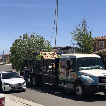 Moon Valley Nurseries - Professional delivery - Nurseries & Gardening Near Me - Murrieta, California Moon Valley Nurseries - Professional delivery - Nurseries & Gardening Near Me - Murrieta, California