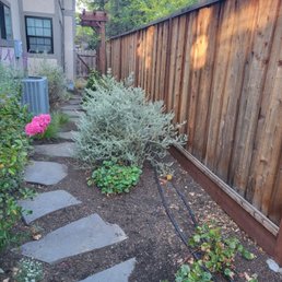 side yard before side yard before