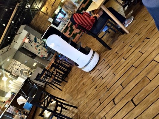 Noodle Topia by null