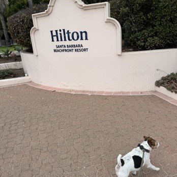 Hilton Santa Barbara Beachfront Resort - Hotels Near Me - Santa Barbara, California Hilton Santa Barbara Beachfront Resort - Hotels Near Me - Santa Barbara, California