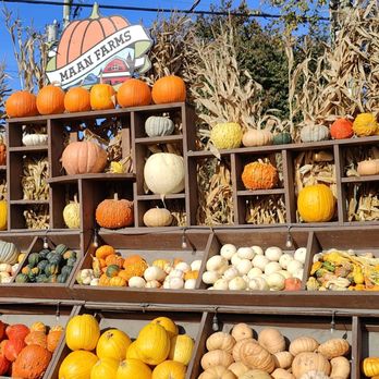 Maan Farms - Farmers Market Near Me - Abbotsford, British Columbia