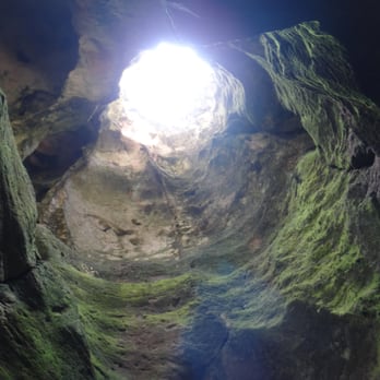 La Cueva del Indio - Looking up from the bottom - Local Flavor Near Me - Arecibo, Puerto Rico La Cueva del Indio - Looking up from the bottom - Local Flavor Near Me - Arecibo, Puerto Rico