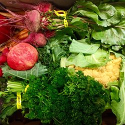 Blosser Urban Garden - Box contents week of 3 January.