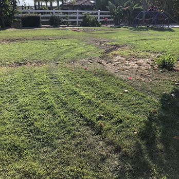 Greenscape Projects 951 - Tractor ruined grass - Masonry/Concrete Near Me - Lake Elsinore , California Greenscape Projects 951 - Tractor ruined grass - Masonry/Concrete Near Me - Lake Elsinore , California