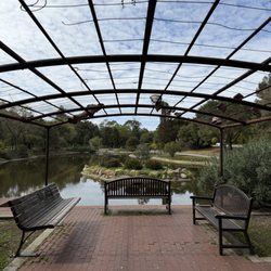 Sharon Park