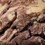 Photo of Crumbl - Stone Oak
