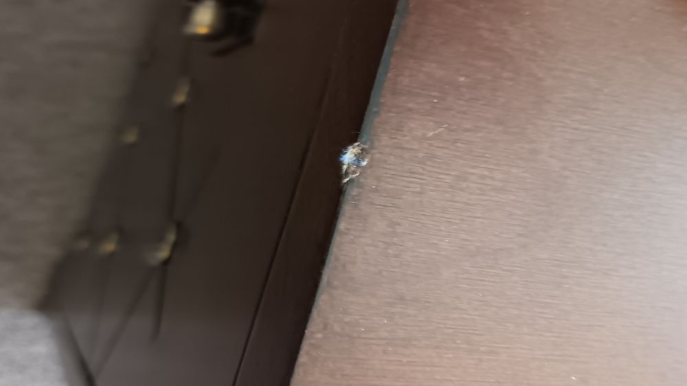 PRO MOVERS Updated October 2024 41 Photos & 29 Reviews Longmont, Colorado Movers Phone