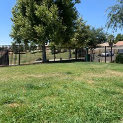 Paws Dog Park