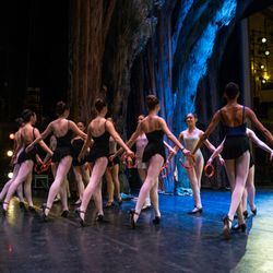 The Ballet School of Stamford Foundation - Neapolitan