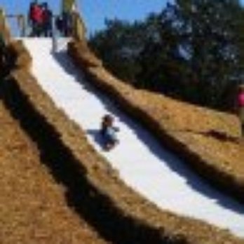 Lucky Ladd Farms - Zoos Near Me - Eagleville, Tennessee Lucky Ladd Farms - Zoos Near Me - Eagleville, Tennessee