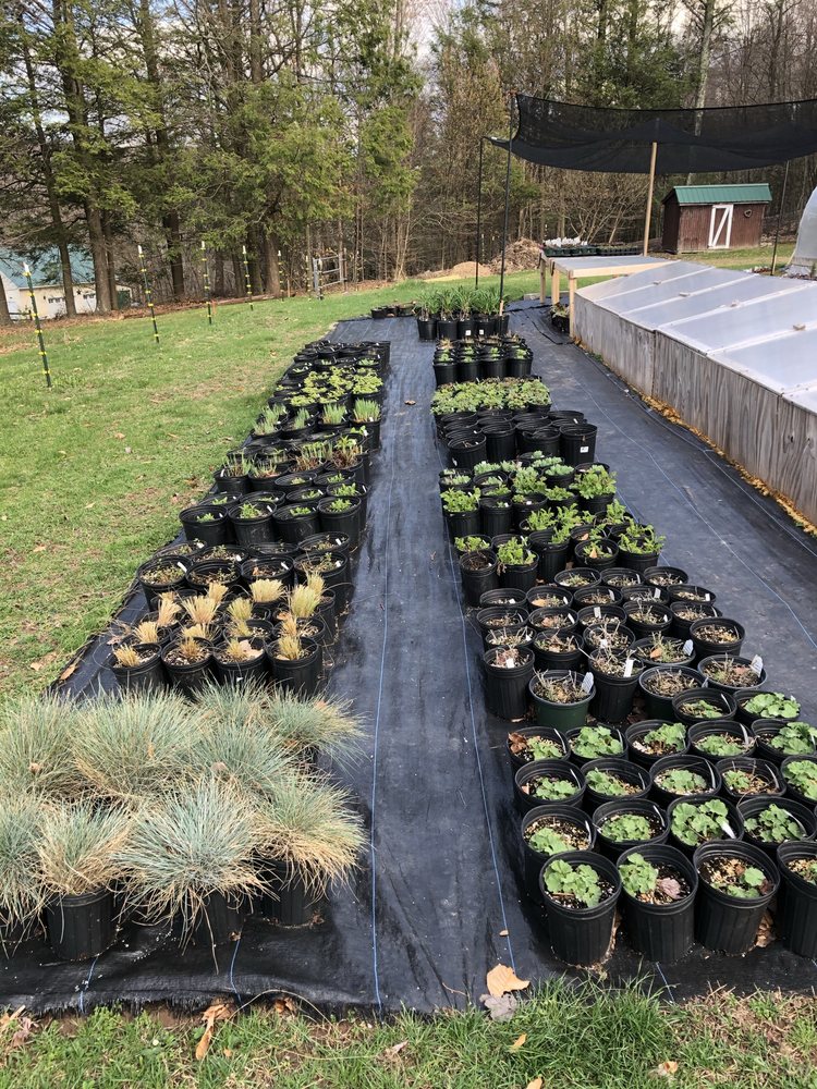 STORY’S NEVERSINK PLANT CO. Updated May 2024 134 Mutton Hill Rd