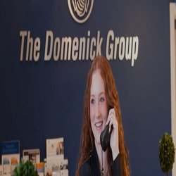 The Domenick Group