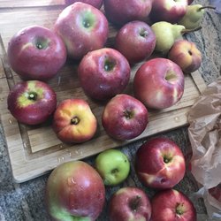 Wavada Orchard