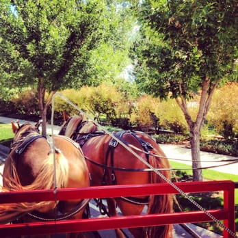 Curiosity Farms - Wagon ride around the farm. - Farms Near Me - Lehi, Utah Curiosity Farms - Wagon ride around the farm. - Farms Near Me - Lehi, Utah